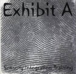 Sensory Integration Training